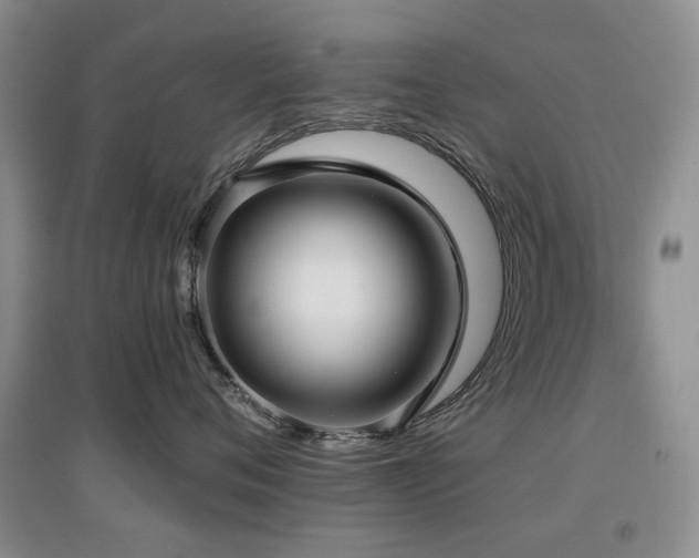 X0000097910720200803141418