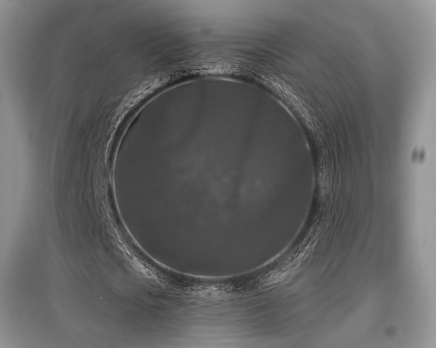 X0000097910721200803141418