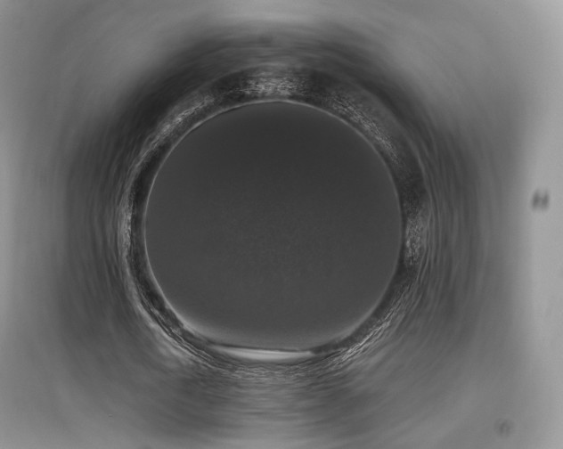 X0000097910722200803141418