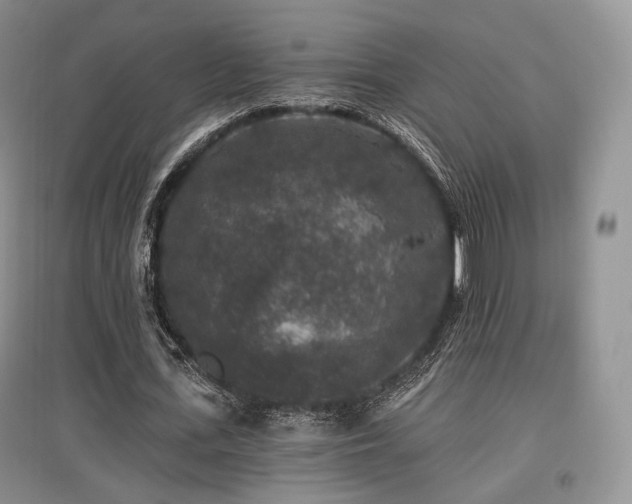 X0000097910723200803141418