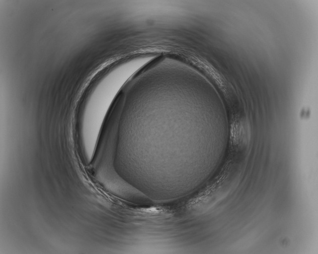 X0000097910724200803141418