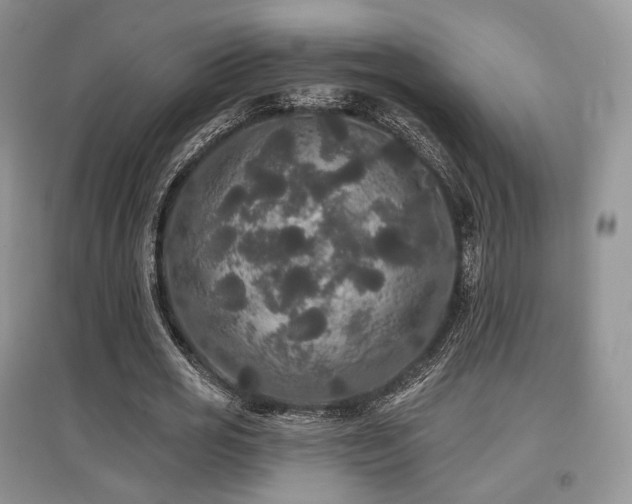 X0000097910725200803141418