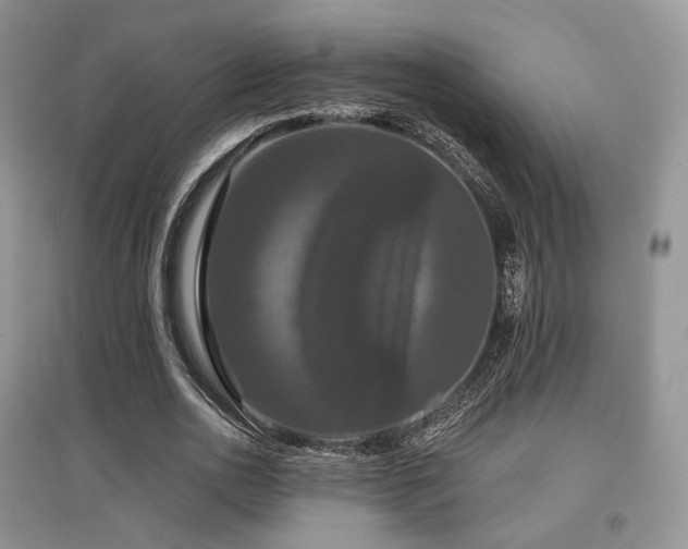 X0000097910726200803141418