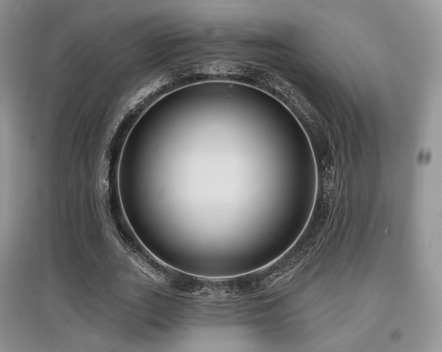 X0000097910727200803141418