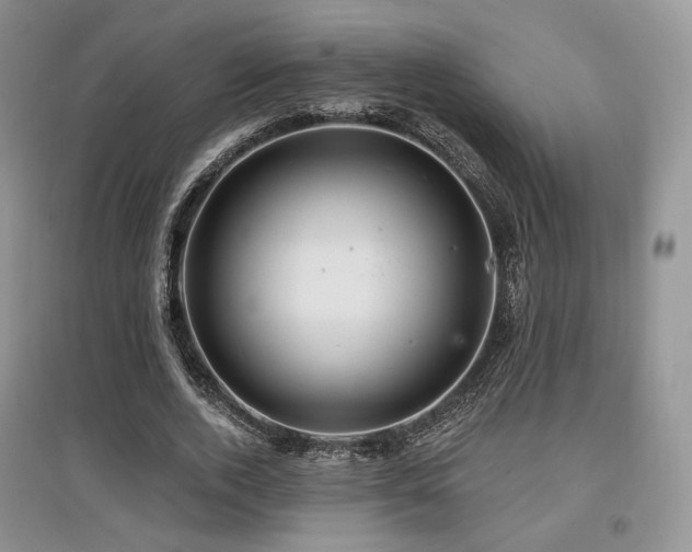 X0000097910728200803141418