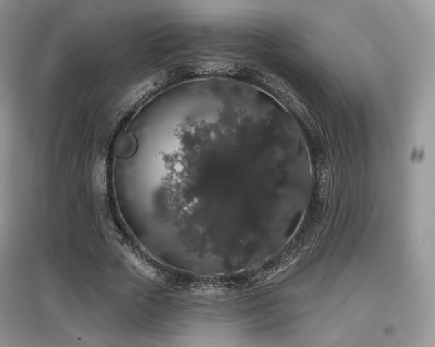 X0000097910729200803141418