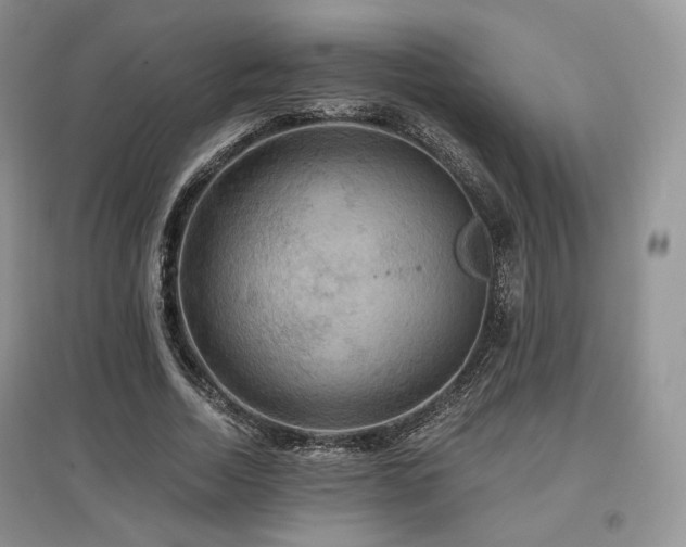 X0000097910730200803141418