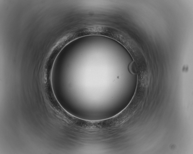 X0000097910731200803141418