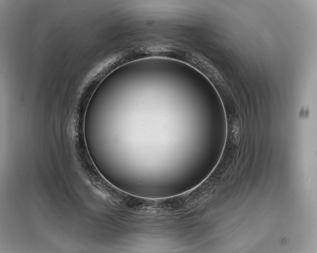 X0000097910732200803141418