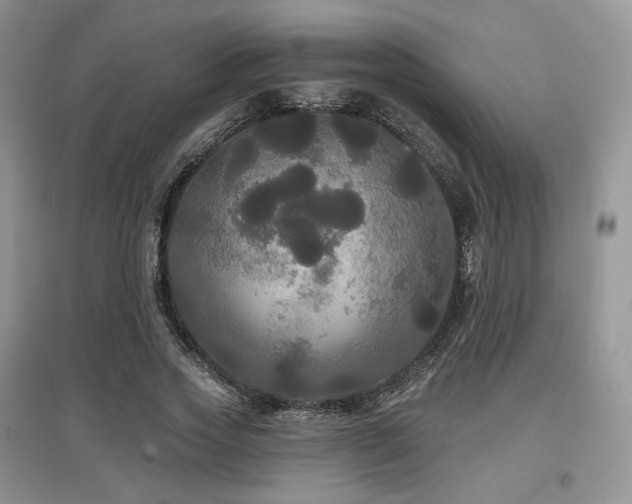 X0000097910733200803141418