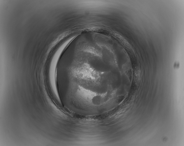 X0000097910734200803141418