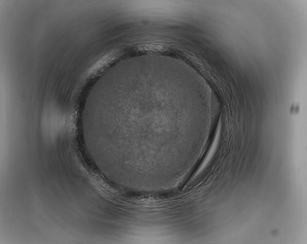 X0000097910735200803141418