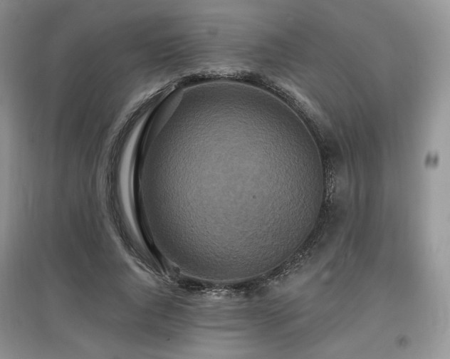 X0000097910736200803141418