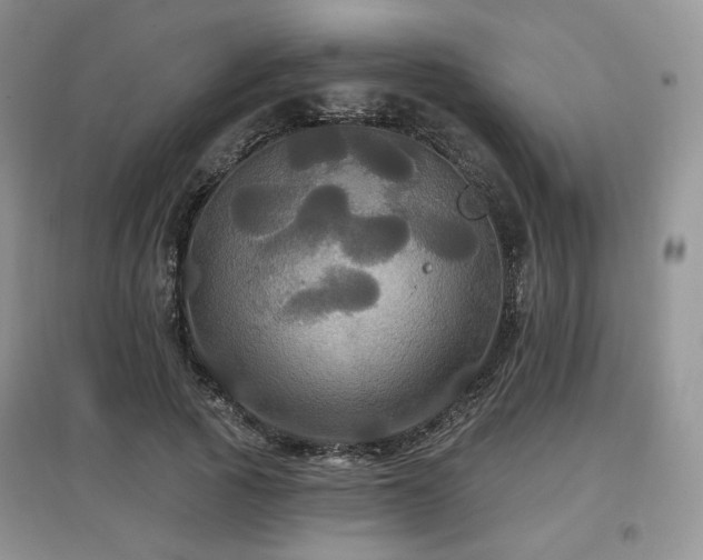 X0000097910737200803141418