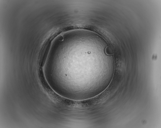 X0000097910738200803141418