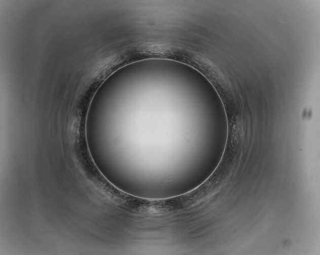 X0000097910739200803141418