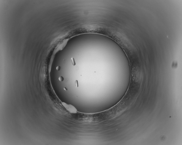 X0000097910740200803141418