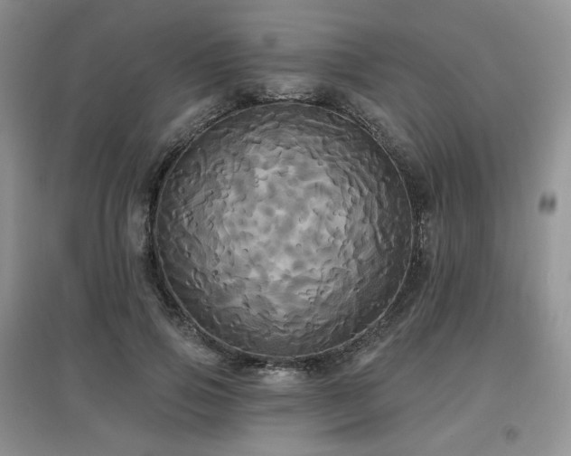 X0000097910741200803141418