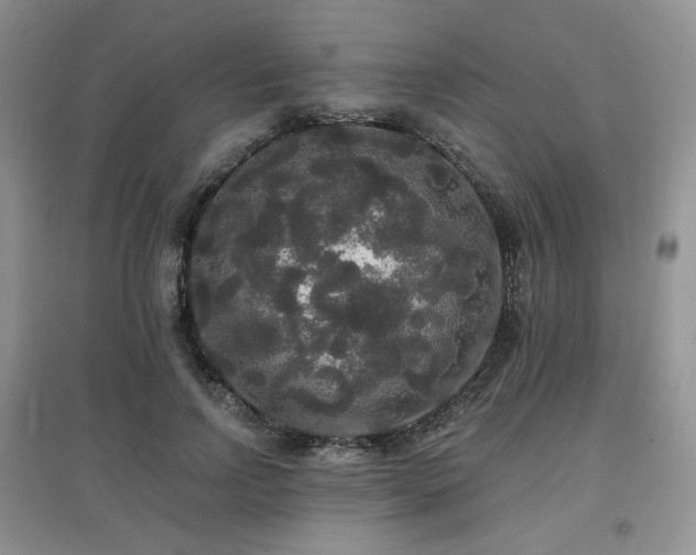 X0000097910742200803141418