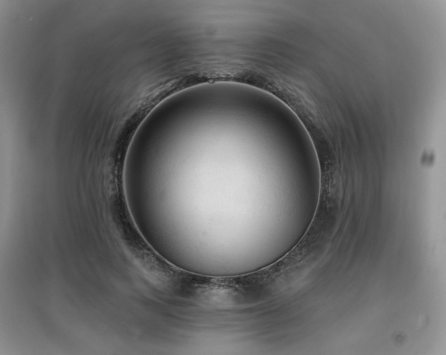 X0000097910743200803141418