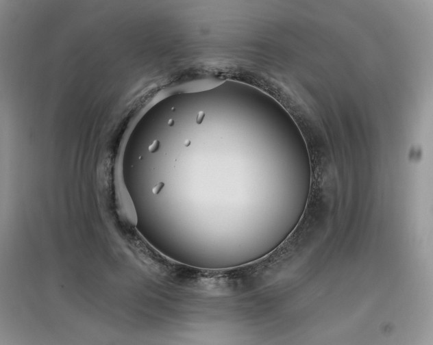 X0000097910744200803141418