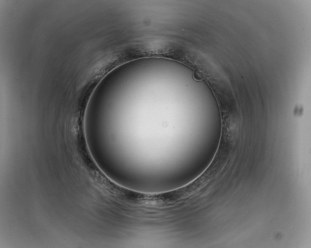 X0000097910746200803141418