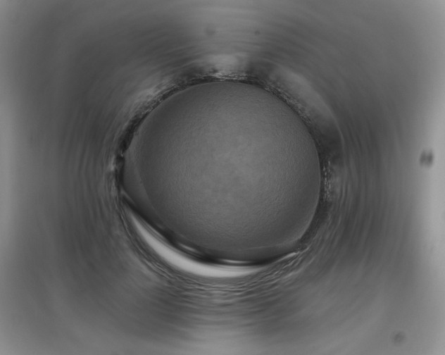 X0000097910748200803141418