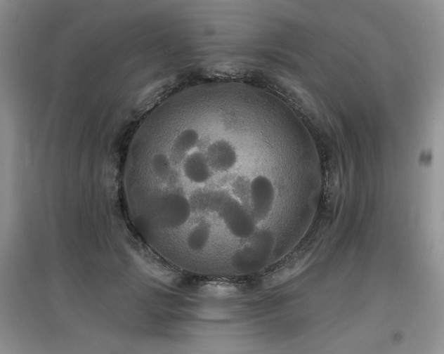 X0000097910749200803141418