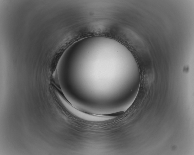 X0000097910750200803141418