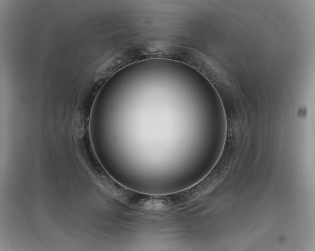 X0000097910751200803141418