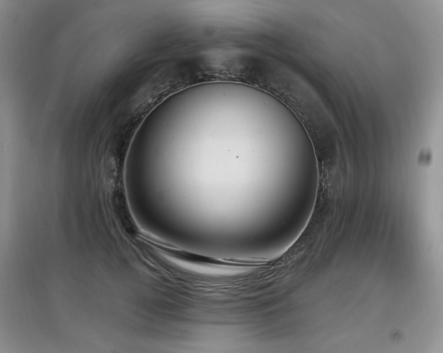 X0000097910752200803141418