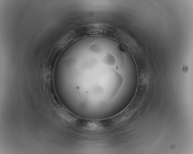 X0000097910753200803141418