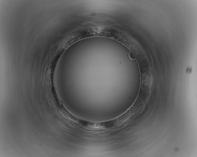 X0000097910754200803141418