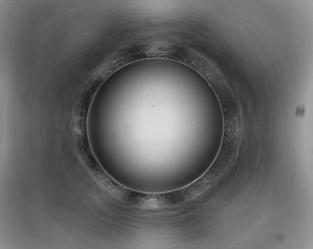 X0000097910755200803141418