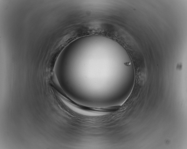 X0000097910756200803141418