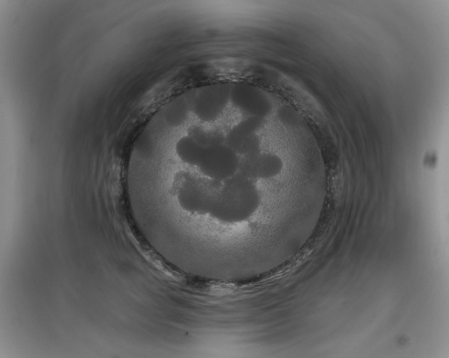 X0000097910757200803141418