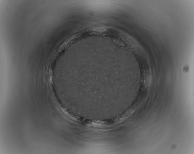 X0000097910758200803141418