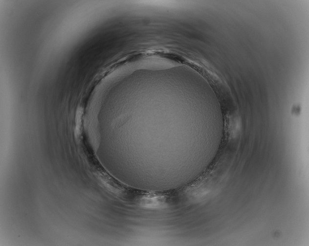 X0000097910760200803141418