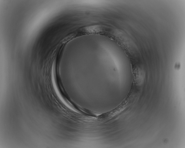 X0000097910762200803141418