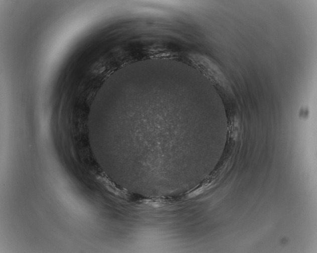 X0000097910763200803141418