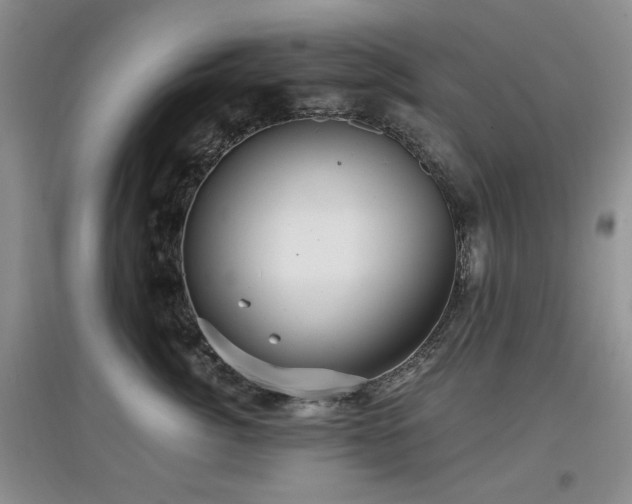 X0000097910764200803141418