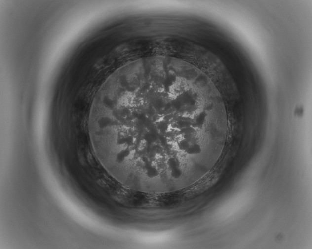 X0000097910765200803141418