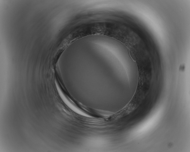 X0000097910766200803141418