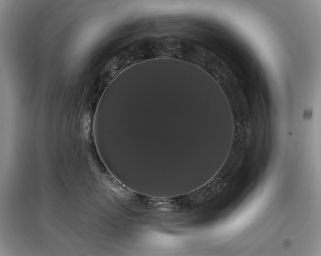 X0000097910767200803141418