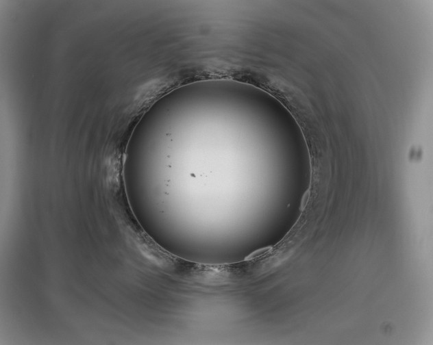 X0000097910768200803141418