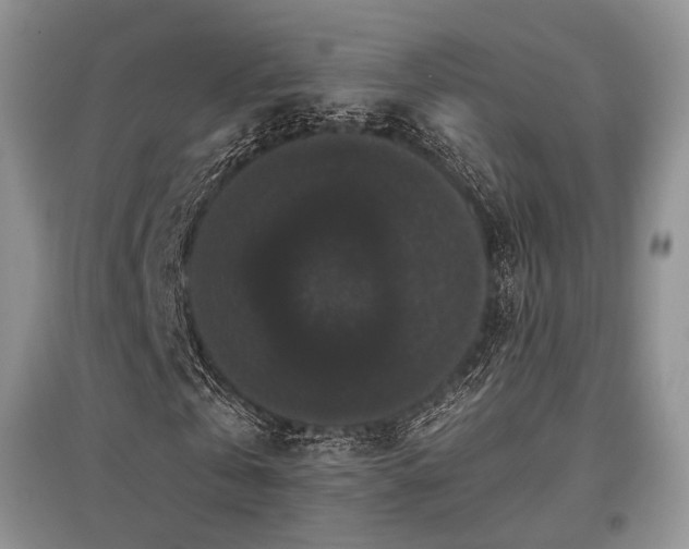 X0000097910769200803141418