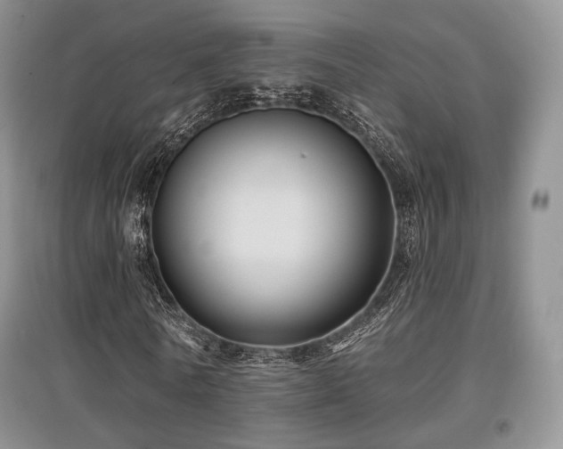 X0000097910770200803141418