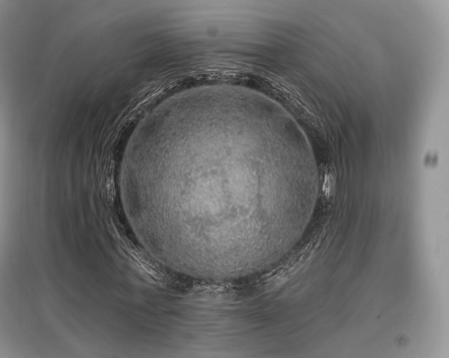 X0000097910771200803141418