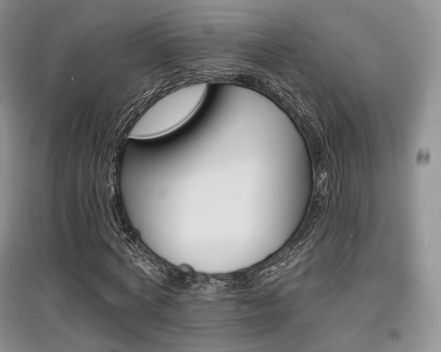 X0000097910772200803141418