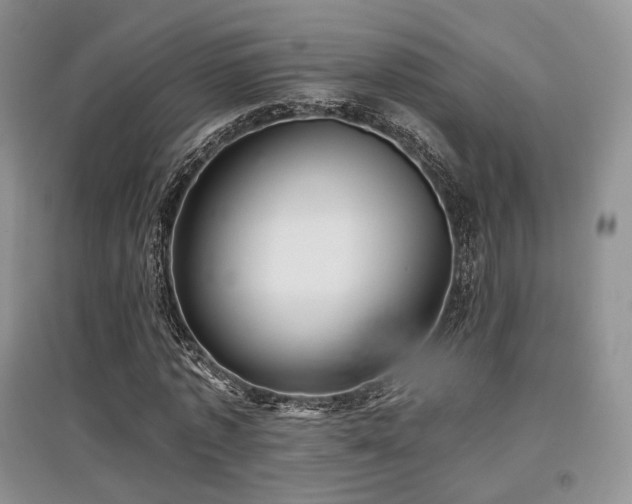 X0000097910773200803141418